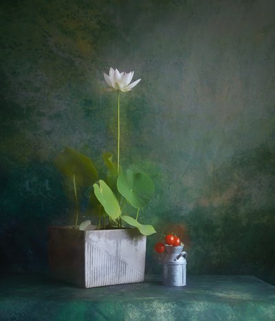 Serenes weißes Lotus-Stillleben von Fangping Zhou