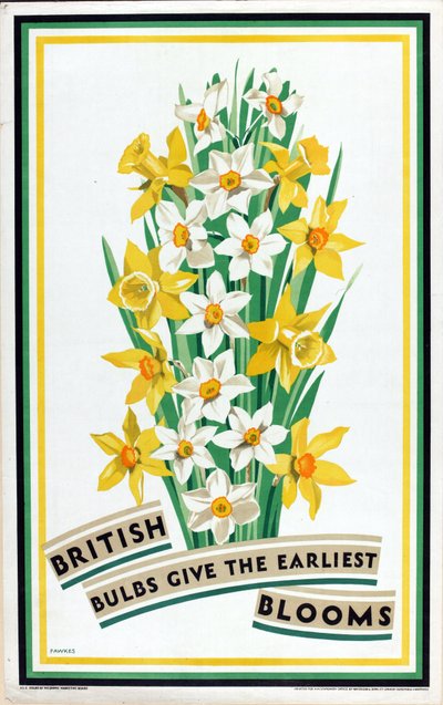 Britische Zwiebeln bringen die frühesten Blüten, aus der Serie 