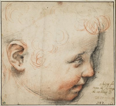 Kopf eines Kindes im Profil; Vielleicht für das Jesuskind von Federico Barocci