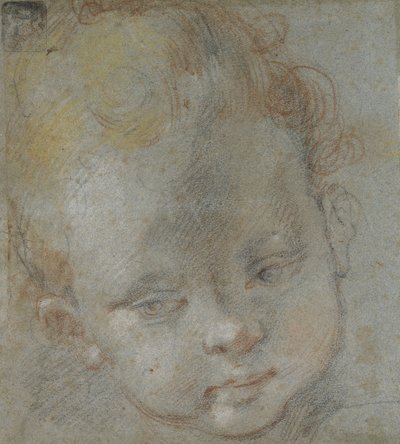 Recto: Kopf eines Kindes von Federico Barocci