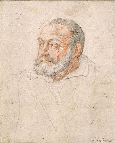 Porträt eines Mannes, Barozzi da Vignola, 16. Jahrhundert von Federico Zuccaro