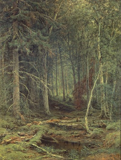 Sumpf im Wald, Herbst, 1872 von Fedor Aleksandrovich Vasiliev