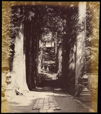 Allee von Bäumen, die zu einem Tempel in Hakoni führen von Felice Beato
