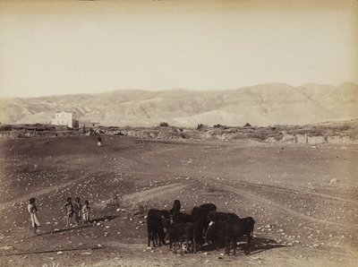 Eine felsige Gegend mit Kindern und weidenden Tieren, in Ägypten von Félix Bonfils