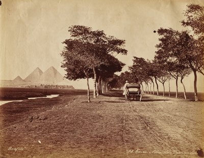 Kairo. Allee der Pyramiden von Félix Bonfils