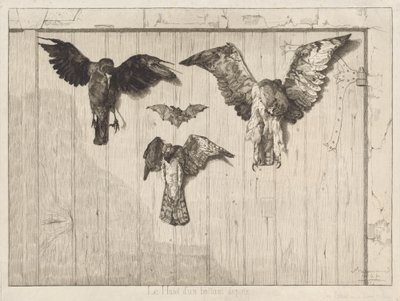 An eine Scheunentür genagelte Vögel (Le haut d