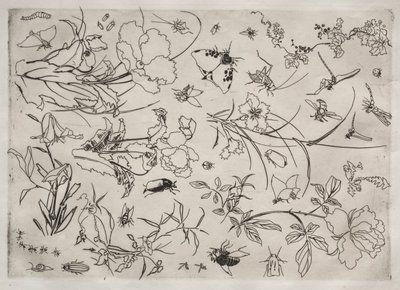 Tafelservice (Rousseau-Service): Blumen und Insekten (Nr. 15) von Felix Bracquemond