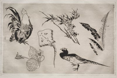 Tafelservice (Rousseau-Service): Hähne, Rochen, Pflanzen usw. (Nr. 9) von Felix Bracquemond
