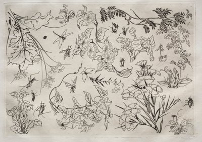 Tafelservice Rousseau-Service: Blumen Nr. 22, 1866 von Felix Bracquemond