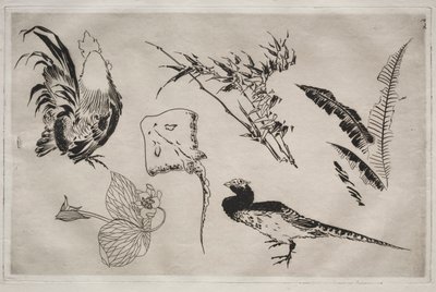Dinner Service Rousseau Service: Hähne, Rochen, Pflanzen usw. Nr. 9, 1866 von Felix Bracquemond
