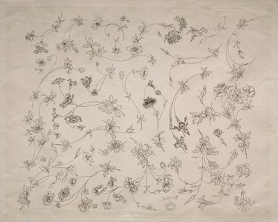 Blumendesigns für Teller und Ränder (Nr. 14) von Felix Bracquemond