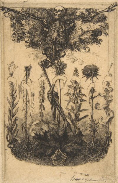 Frontispiz für Les Fleurs du Mal, 1857 von Felix Bracquemond