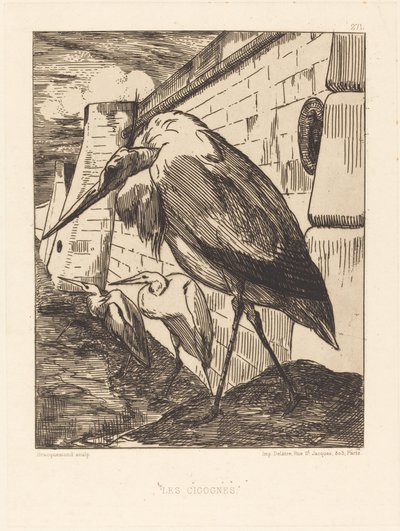 Die Störche von Felix Bracquemond