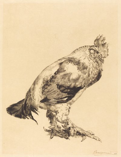 Der alte Hahn von Felix Bracquemond