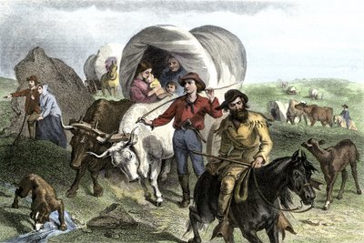 Geschichte der West-Eroberungssiedler: Amerikanische Pioniere. Reisen mehrerer Familien, die die Ebenen der Vereinigten Staaten in von Ochsen gezogenen Kutschen überqueren. Farbenfrohe Gravur des 19. Jahrhunderts. von Felix Octavius Carr Darley
