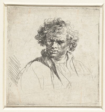 Büste eines Mannes mit verzerrtem Gesicht von Ferdinand Bol (possibly)