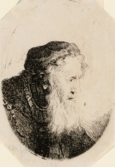 Alter Mann mit wallendem Bart von Ferdinand Bol