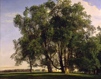 Praterlandschaft von Ferdinand Georg Waldmüller