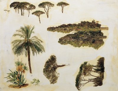 Baumstudien aus Rom von Ferdinand Georg Waldmuller