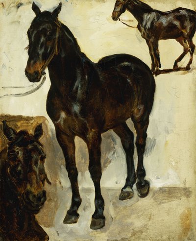 Drei Studien von Pferden, c.1823 von Ferdinand Victor Eugene Delacroix