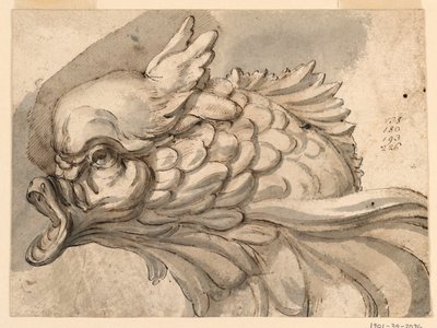 Kopf eines Delfins von Filippo Marchionni