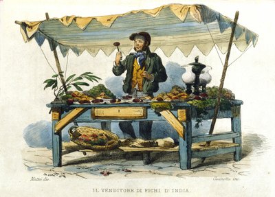 Kleiner Beruf der Stadt Neapel: der Verkäufer von stacheligen Feigen. Gravur nach einem Gemälde von F. Palizza. Aus einem Werk von Francesco de Bourcard „Costumi del regno di Napoli“ von Filippo Palizzi
