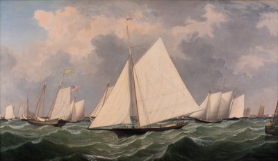 New York Yacht Club Regatta, 1856 von Fitz Henry Lane