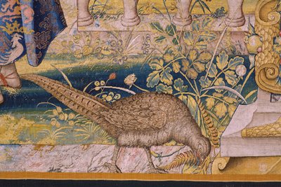 Flämischer Wandteppich. Serie Vertumnus und Pomona: Vertumnus verwandelt in einen Bauern. Atelier Willem de Pannemaker. Ca. 1545-1550. (Detail) von Flemish School