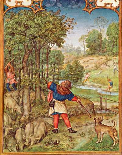 Fol.11v Der Monat November: Eicheln für die Schweine ernten und Jagen, aus dem Breviarium Grimani, ca. 1515 von Flemish School
