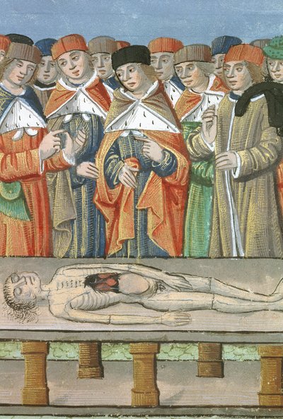 Dissektion, aus De Medina Fen I. II, von Avicenna (980-1037) von Flemish School