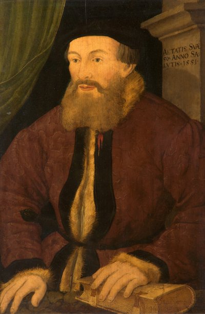 Porträt eines Mannes, 1551 von Flemish School