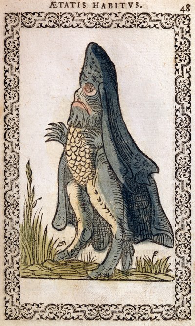 Der Meeresbischof oder Seemonster, Illustration aus Omnium fere gentium nostraeque aetatis Nationum Habitus et Effigies von Jean Sluperji, Antwerpen, 1572 (Farbholzschnitt) von Flemish School