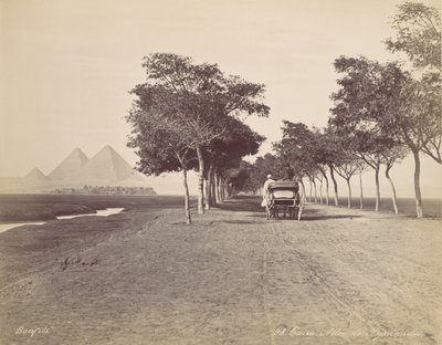 Kairo. Allee der Pyramiden, ca. 1870 von Félix Bonfils
