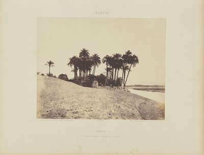 Louksor. Datteln und Garten der Expedition von Louksor von Félix Teynard