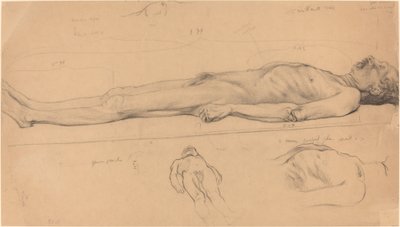 Studie des Leichnams für den toten Christus von Félix Vallotton