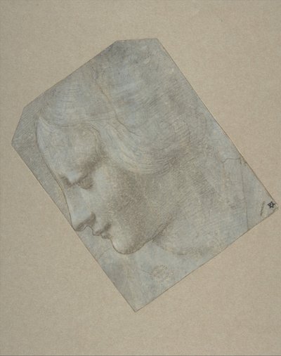 Der Kopf einer Frau im Profil nach links, 1490-1500 von Follower of Leonardo da Vinci.