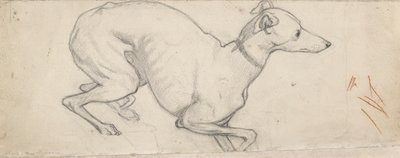 Studie eines Windhundes, Mitte des 19. Jahrhunderts von Ford Madox Brown