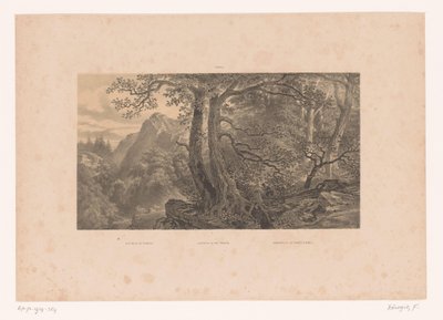 Zwei Jäger in einem Wald in den Pyrenäen von Fortuné Ferogio