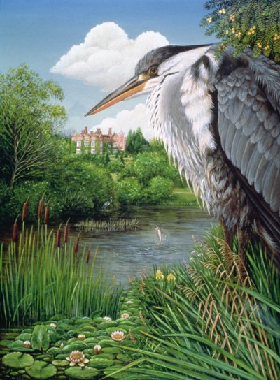 Reiher in Chilham von Frances Broomfield