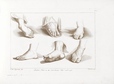 Sechs Füße von Francesco Bartolozzi
