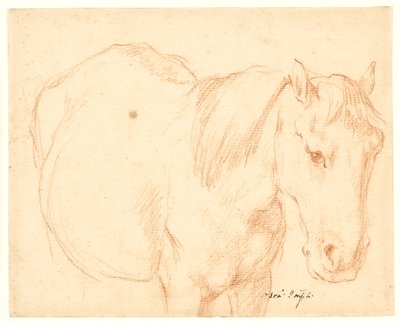 Ein Pferd von Francesco Fernandi