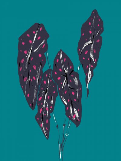 Dunkle Tropische Caladium-Blätter von Francesco Gulina