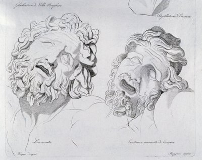 Köpfe von Laokoon und sterbendem Zentaur von Canova von Francesco Hayez