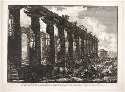 Tempel der Athena in Paestum von Francesco Piranesi