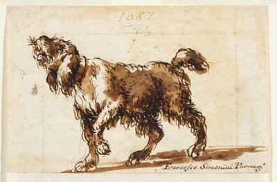Heulender Hund (recto), ca. 1700-50 (schwarze Kreide, Stift & braune Tinte, braune Waschung, Graphit auf Papier) von Francesco Simonini