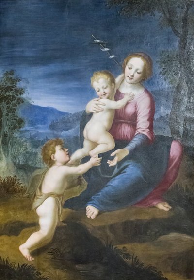 Die Jungfrau mit Jesus und Johannes dem Täufer von Francesco di Cristofano Franciabigio