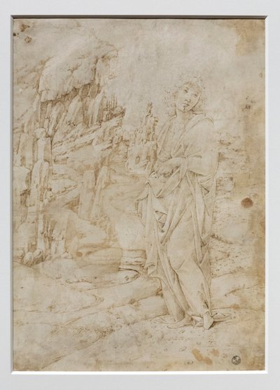 Junger Mann in einer felsigen Landschaft von Francesco di Giorgio Martini