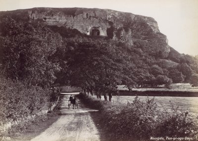 Abergele, Tan-yr-ogo-Höhle, 1870er Jahre von Francis Bedford