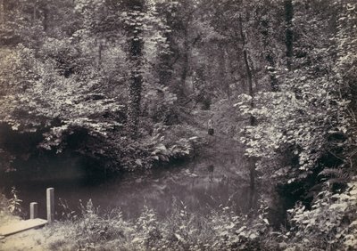 Colwyn Bay. Der Teich im Wald, 1870er Jahre von Francis Bedford