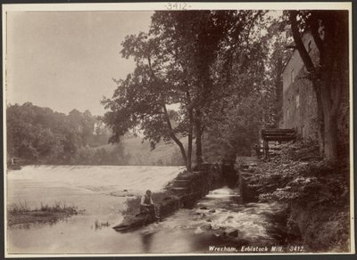 Wrexham, Erbistock Mühle von Francis Bedford